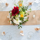 Debbie Garris's photo