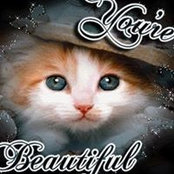 Foto von Peggy Westfall