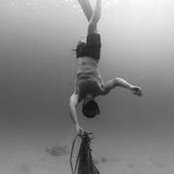 Tristan Ewald's photo