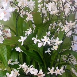 Inspiration - Artificial Flowers Plants And Trees