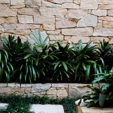 Sherman Oaks Small Lot Backyard Renovation with Pool, Hardscape, and Planting