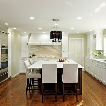 Contemporary Kitchen Cabinets Design Remodel