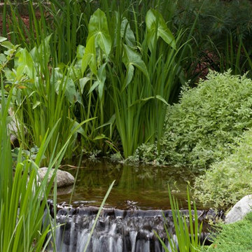 Water Features