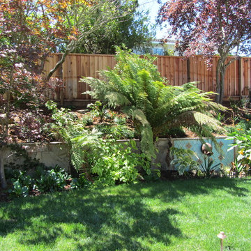 Peters Residence - Backyard Makeover