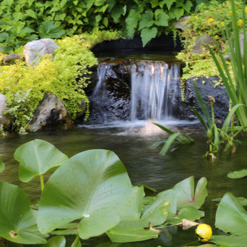 Beautiful Pond & Flagstone Patio in Lebanon PA