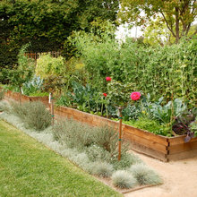 whidbey raised beds