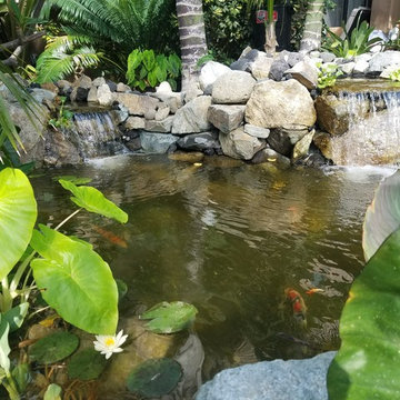 Dana Point Pond Build
