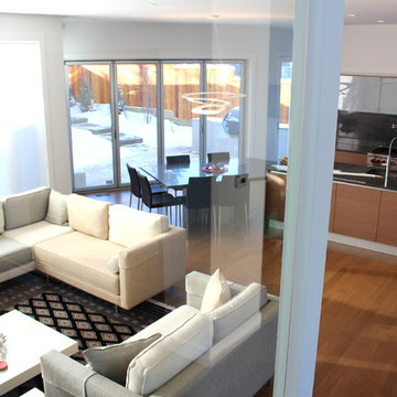 Glass and veneer kitchen in South Calgary
