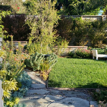 Los Angeles Modern Garden. Australian natives and drought tolerant design