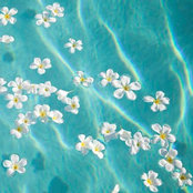 Dawn Farrell's photo