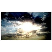 Lisa Alward's photo