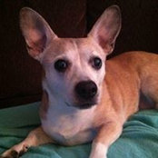 Ann Kelly Cox's photo