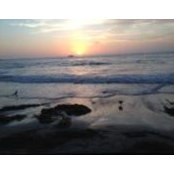 Rick Liotta's photo