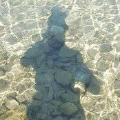 Elvis Cirko's photo