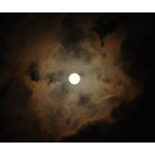 Neese Mal's photo