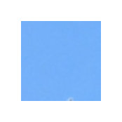 Wilma von Windspiel's photo