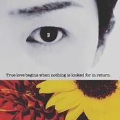 Aoki Yuki's photo