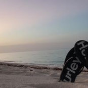 Teddy Hollins's photo