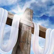 Stephanie Zahringer's photo