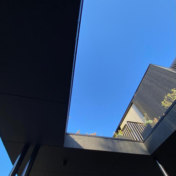 Maroubra Duplex - void to green roof
