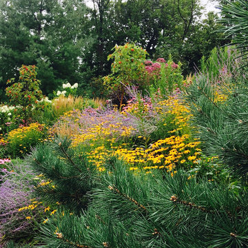 Landscaping in Minneapolis