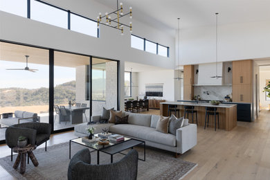Transitional living room photo in Austin