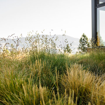 FineLine Custom Home Landscape
