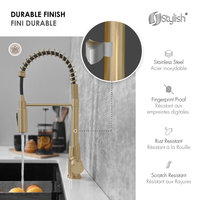 STYLISH Milano Pull-Down Kitchen Faucet with water filter, Stainless Steel., Brushed Gold