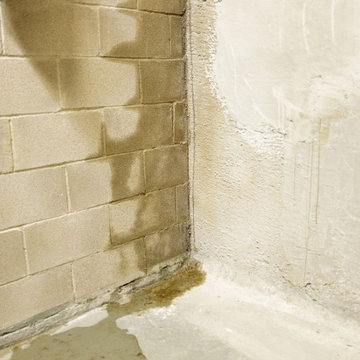 Carmel Foundation Repair Experts