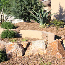 Front Yard Landscape