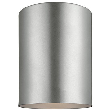 Sea Gull 1-Light Outdoor Ceiling Flush Mount 7813801-753, Painted Brushed Nickel