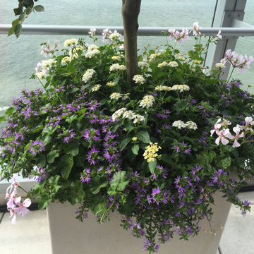 Battery Park City Terrace
