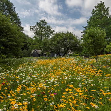 Back Country Sanctuary