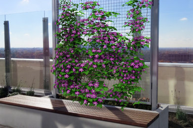 Rooftop Deck