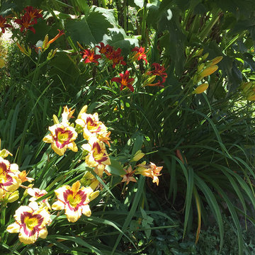 Perennial favorites | Artistry Landscaping Design