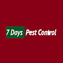 7 Days Pest Control Brisbane