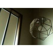 Ellen Bloom's photo