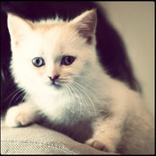 Alev Izet's photo