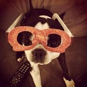 Virginia Reynolds's photo