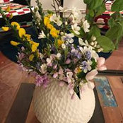 Marie Rocamora's photo