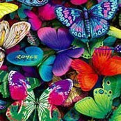 Amal Mortagy's photo