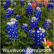 Kristie Huffman's photo
