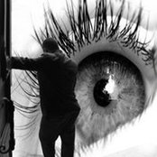 Dee Williams's photo
