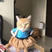 Peggy Lu's photo