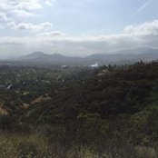 Brian Dahl's photo
