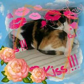 Daniela Di Pasquale's photo