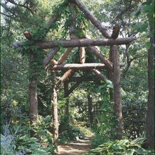 Landscape Ideas