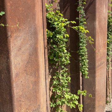 Velegnet beplantning til nybyg