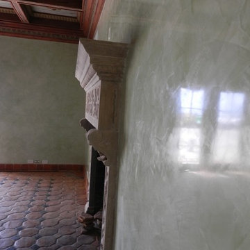 Interior Venetian Plaster