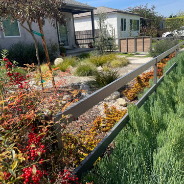 Front Yard Favorite